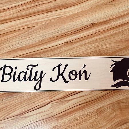 Czarny Kon „Black Horse” 카미엔나 고라 외부 사진